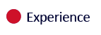 Experience Page